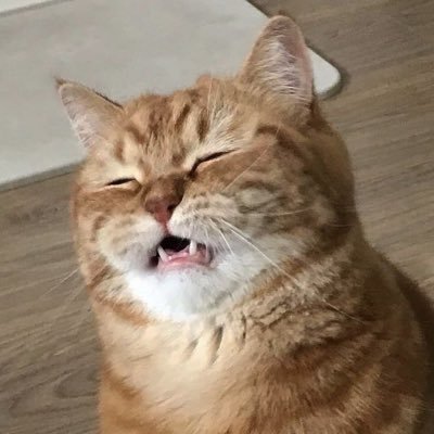 Tanavast
